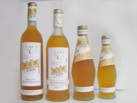 DB45/T 2195-2020 龍眼果醋生產(chǎn)技術規(guī)程